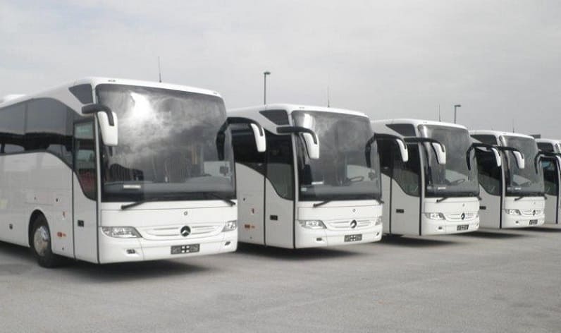 Gelderland: Bus company in Barneveld in Barneveld and Netherlands